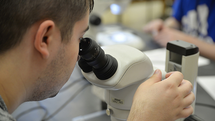 Step Up student examining a marine specimen under a microscope in a lab setting.