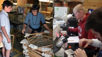 Photo collage of Zachary Johnson and Todd Nason as high school students volunteering in scientific work settings.