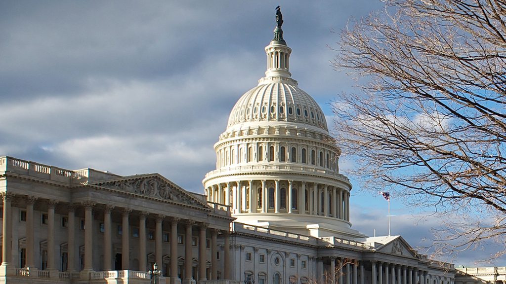 United States Capital in Washington D.C.